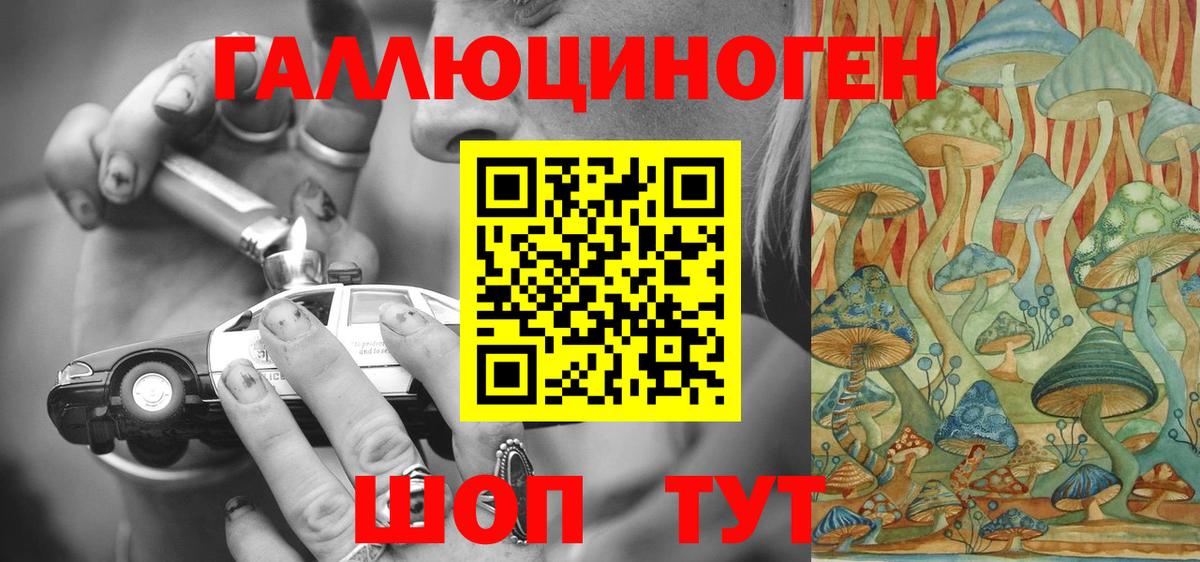 Псилоцибиновые грибы Psilocybine cubensis Кулебаки